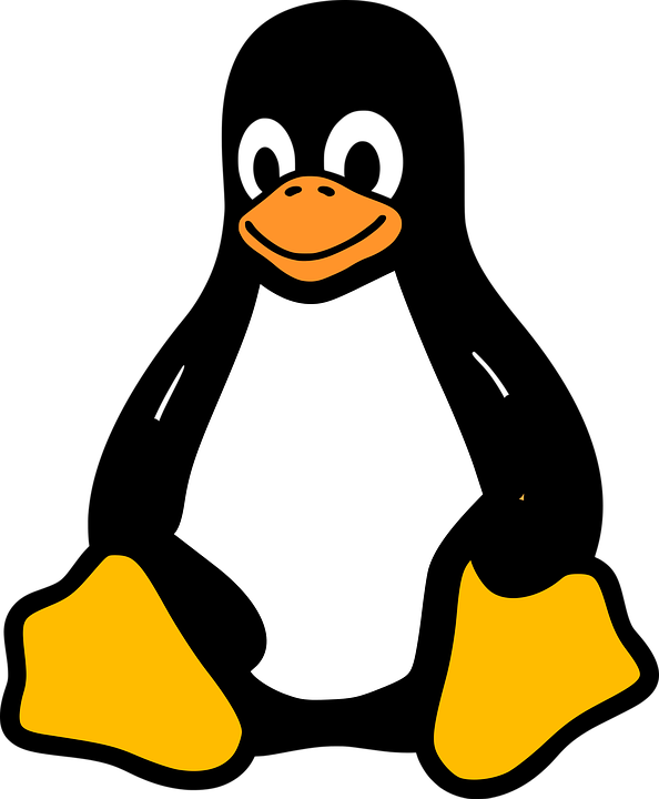 Linux Residential VPS